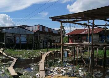 Střípky a zajímavosti 1/ První dny v terénu