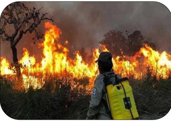 Podpora bolivijské charity při požárech v Amazonii